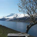 Gunnvald