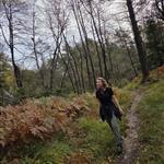 Høstskog