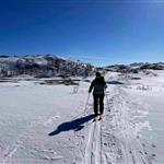 Hanne i Nord