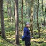 Heheland