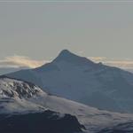 henriksp
