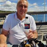 Isebjørn