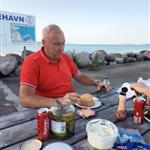 Isebjørn