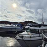 Ivar58