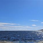 Janerlend46
