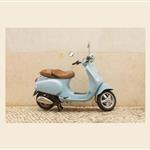 jarl59