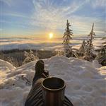 Kaffekosen
