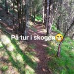 Kviteberg