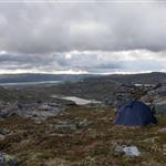 Kyrre