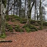 Lana Lana
