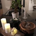 Landsby jente fra Rogaland