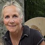 Lett bris