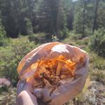Malabarisk