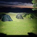 MartinAM