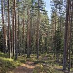 natur vandrer