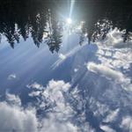 natur vandrer