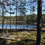 Naturbrukeren