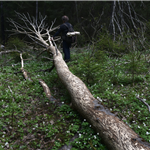Naturbrukeren