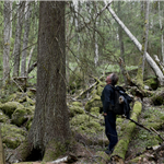 Naturbrukeren