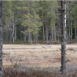 Naturbrukeren