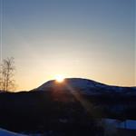 Naturglad