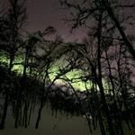 Nordlys og midnattsol
