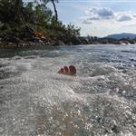 Sava