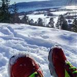 Serettertreningsvenn