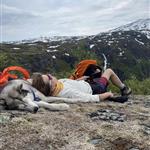 Siberiandogs