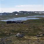 Snorre marius