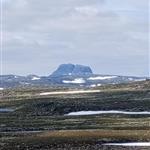 Snorre marius