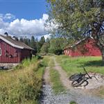 Sognsvann