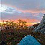 Solnedgang