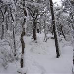 soveposen