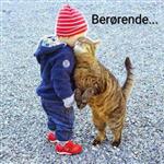 Still-het