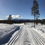 Strikkaplagg