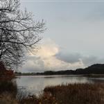 Synnøve Finden