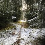 Trivelig turvenn