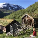 Trond1956