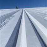 TrondHSnø