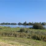 turognatur