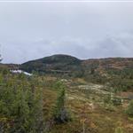 Turvennønskes