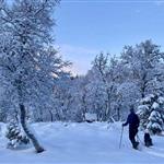 Turvenn-nord