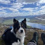 Turvenner