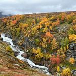 Turvenner