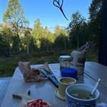 Turvenner
