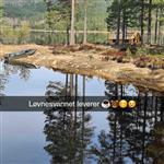 Tyri bål