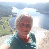 Blåklokke