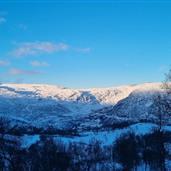 Fjellflørt