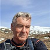 Fjellmann
